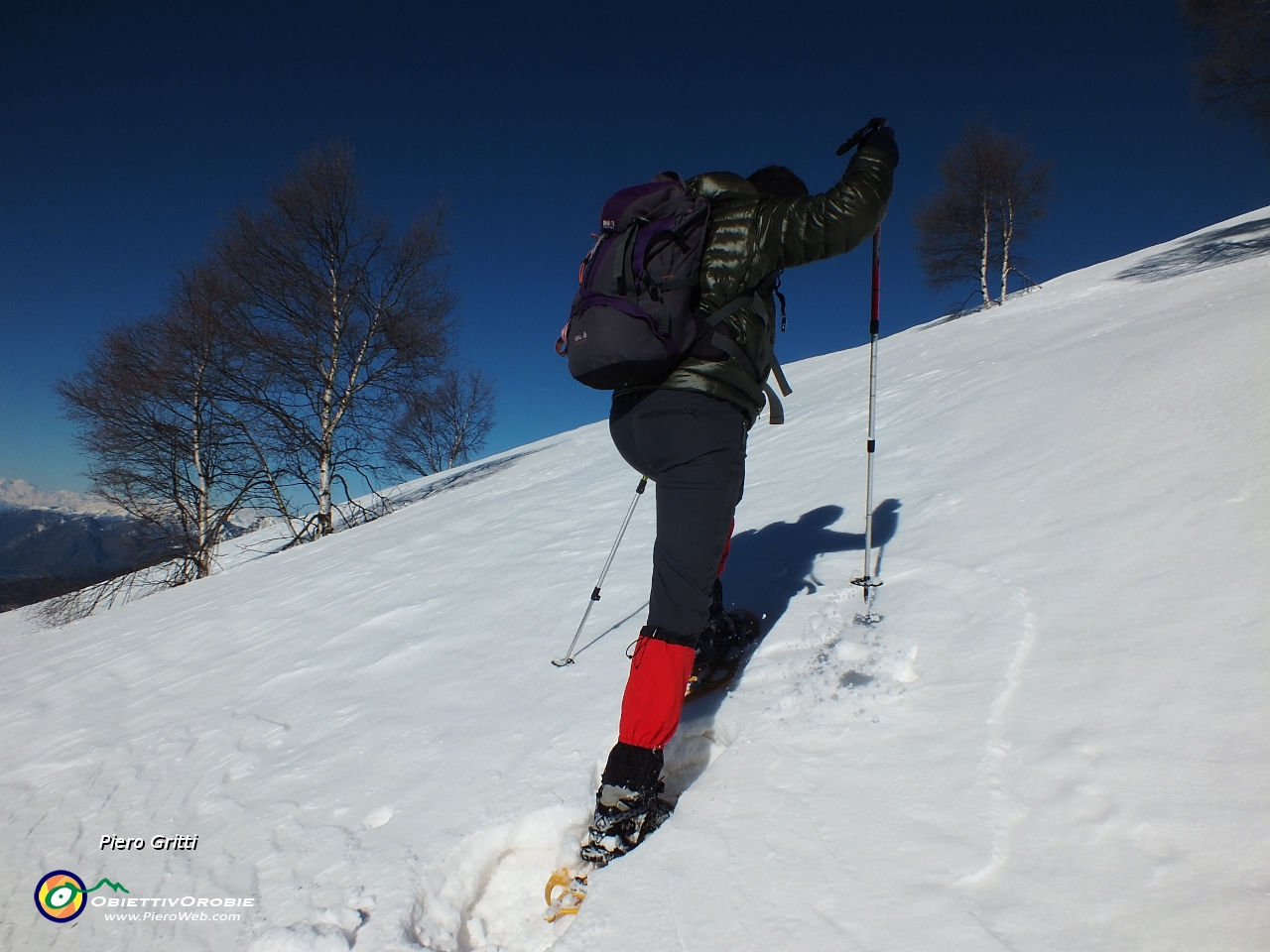 25 poi, oltre la pineta, ...in ripida salita !.JPG